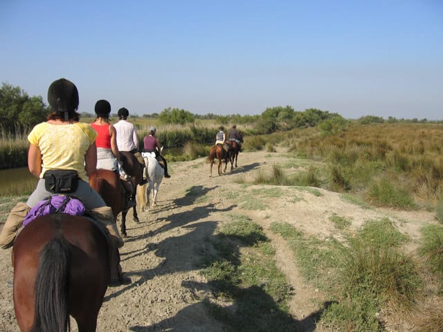 équitation