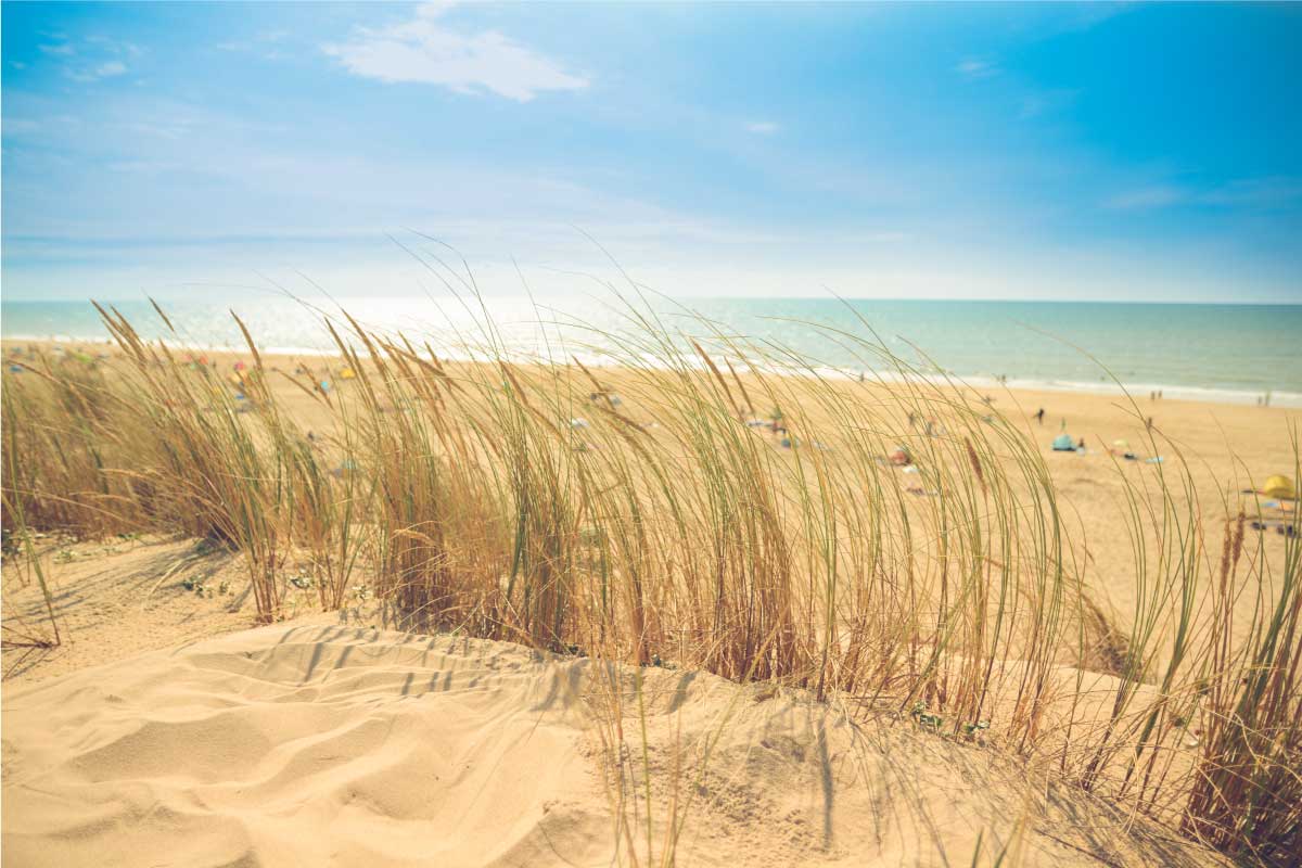 camping proche de la mer gironde
