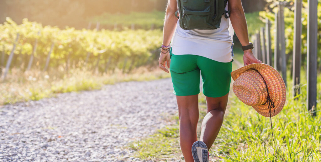 En savoir plus sur Hiking in Gironde