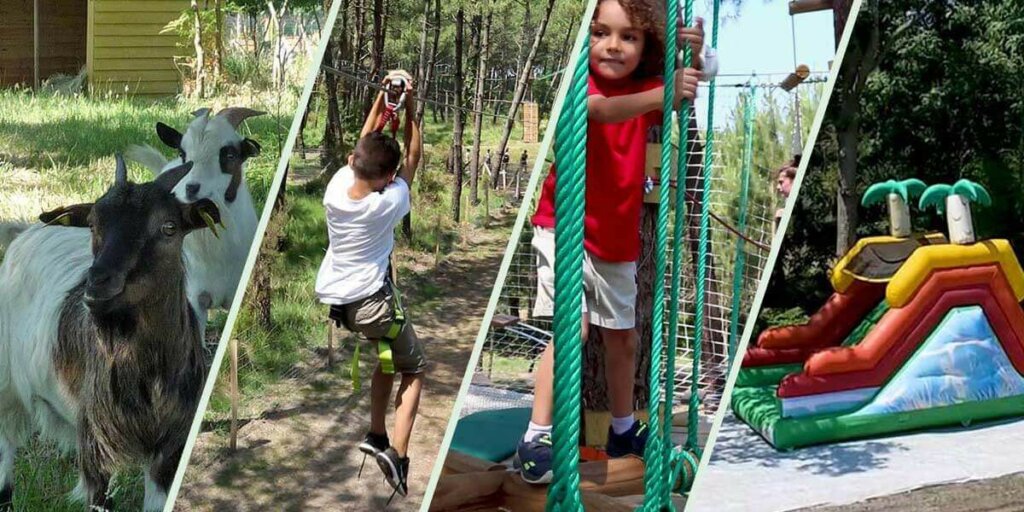En savoir plus sur Animalia Parc, Naujac-sur-Mer