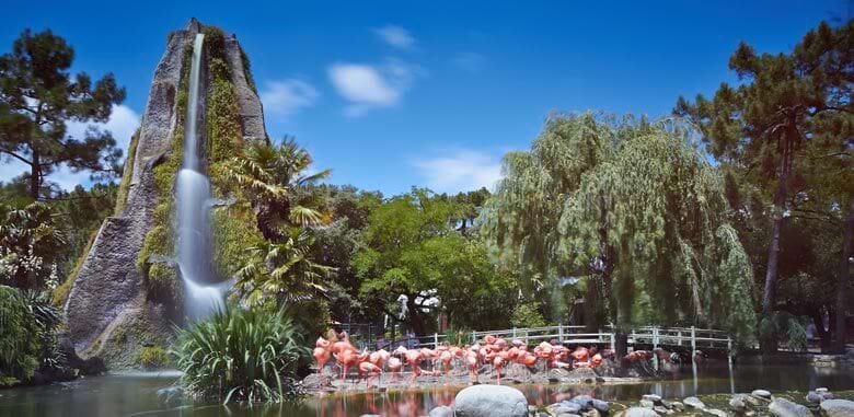 Zoo de la palmyre près du camping vieux moulin vensac