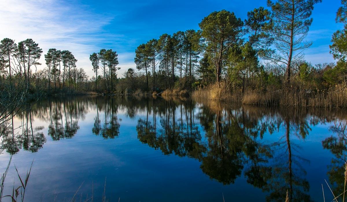 bassin d'arcachon
