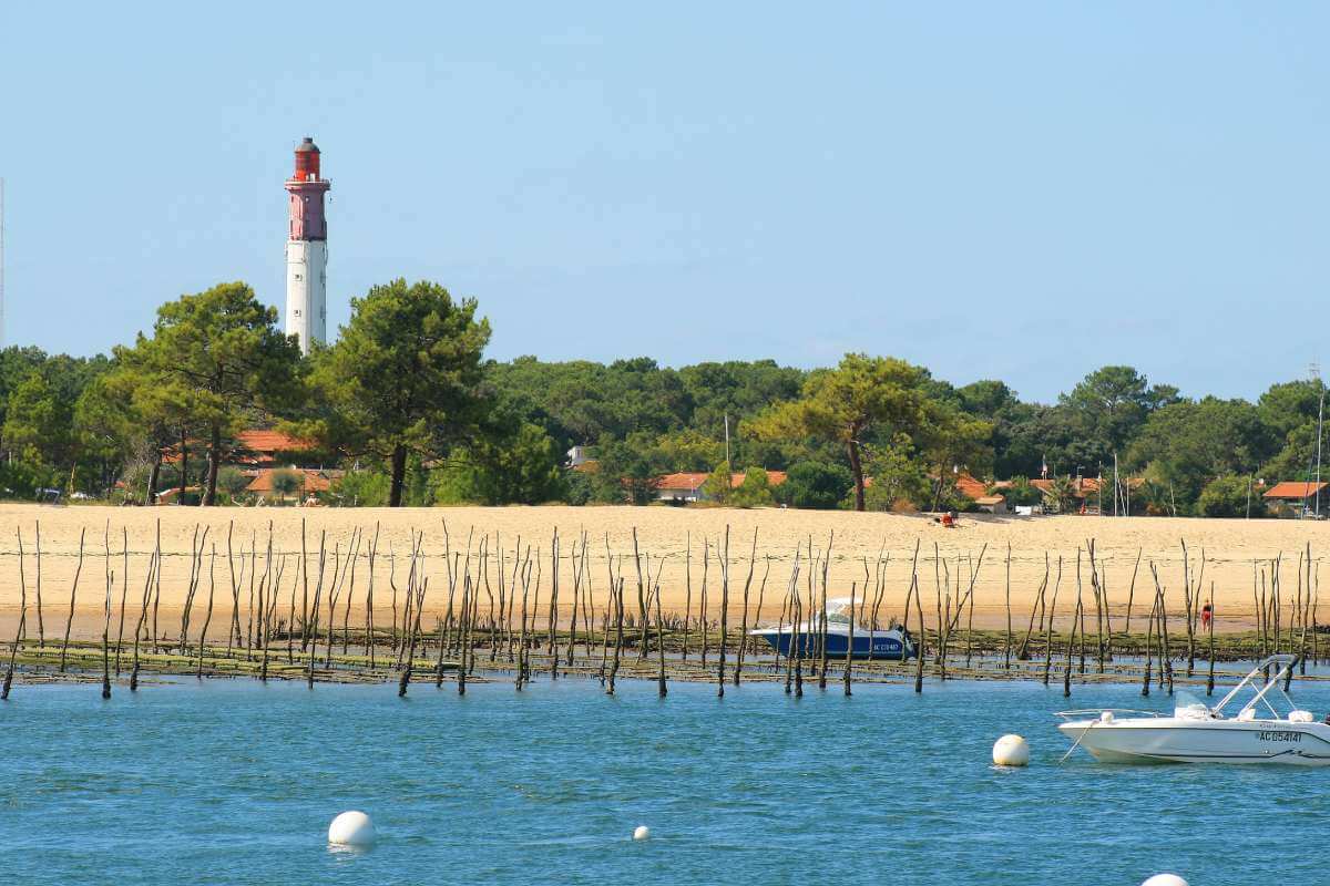 cap ferret