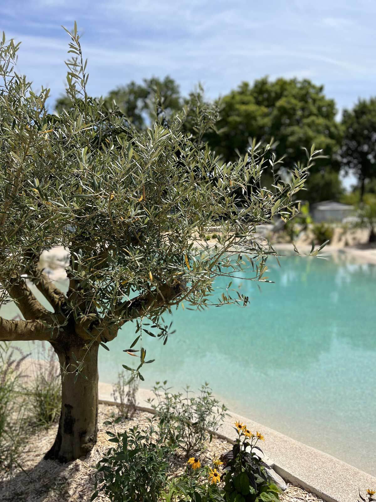 campsite with swimming pool montalivet