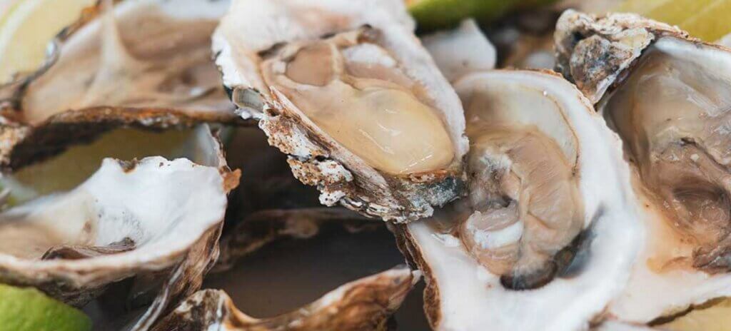 En savoir plus sur Discovering Médoc oysters