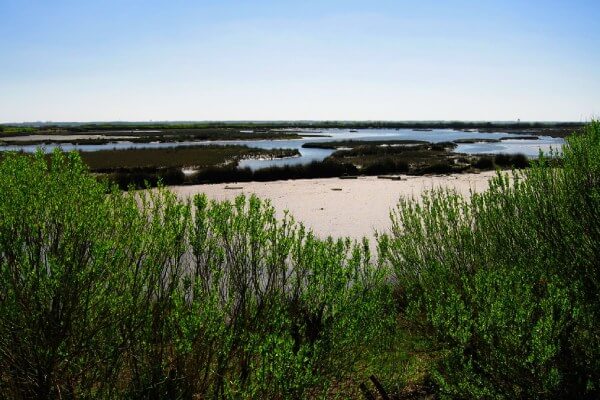 marais du médoc