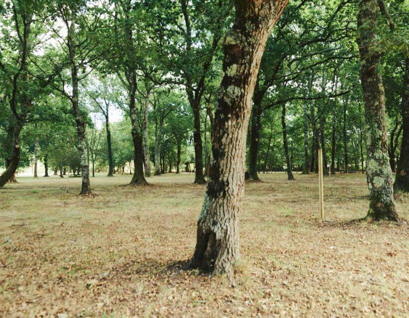 Gironde campsite location